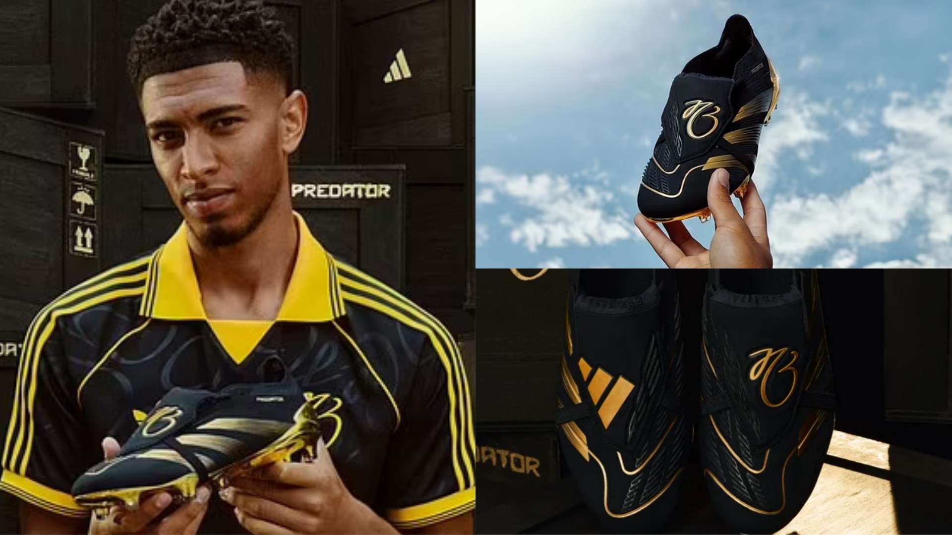 更是国内球 更是国内球