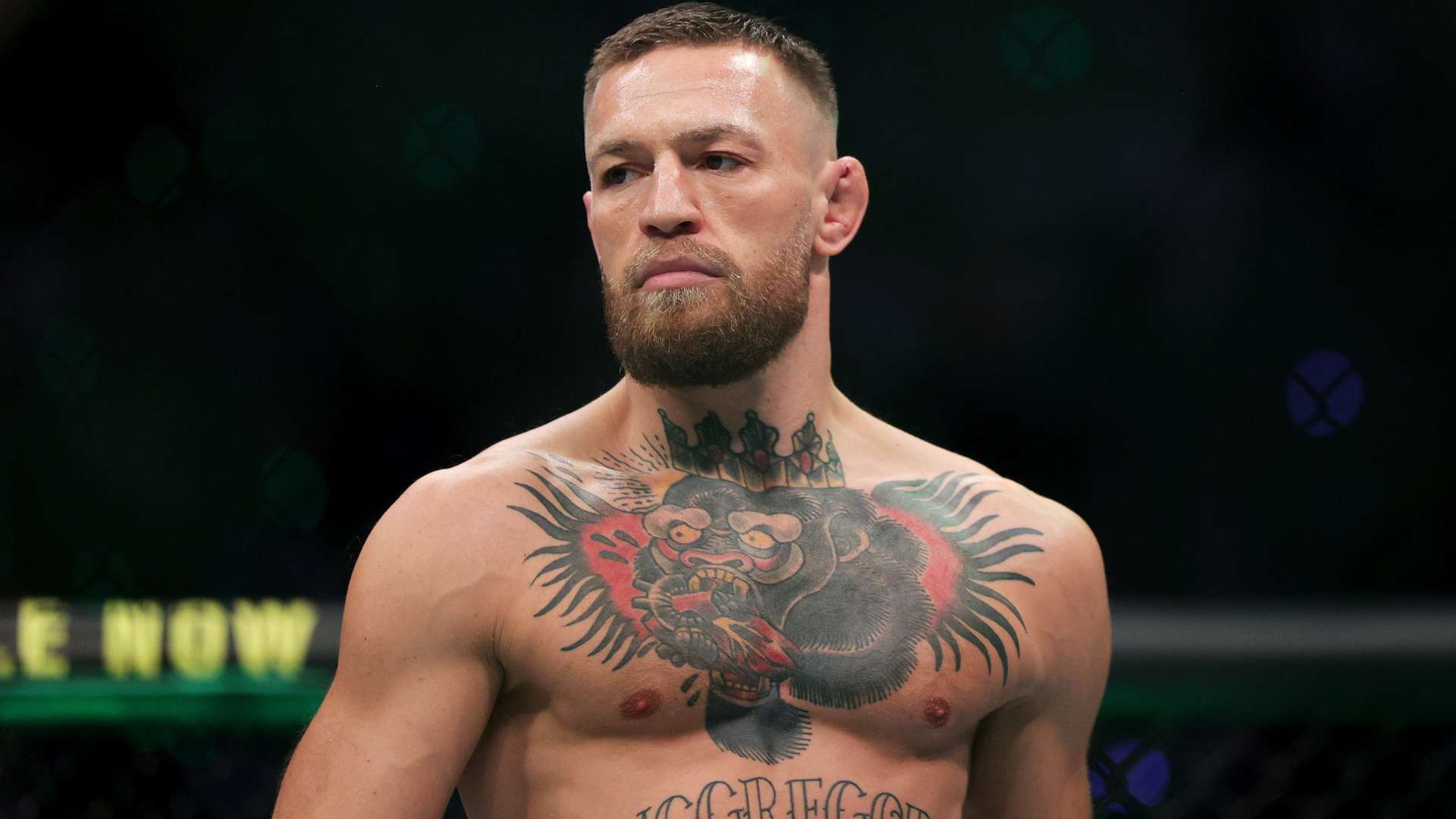 情也成为他 情也成为他